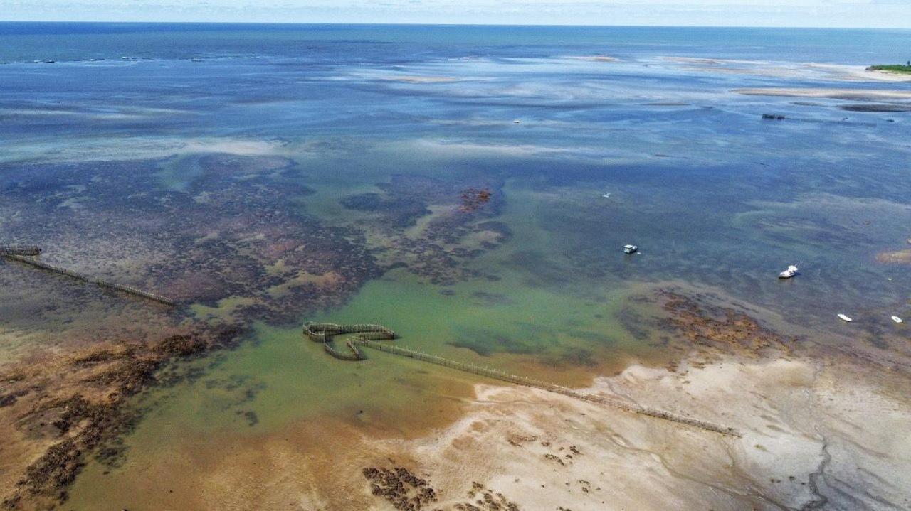 Pousada Villa Marceneiro Beach Passo de Camarajibe Dış mekan fotoğraf